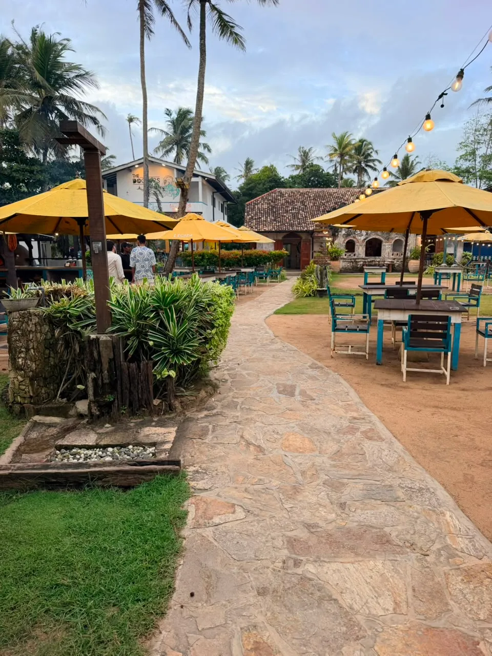 Yellow parasols and turquoise tables in the garden of The Doctor's House beach bar, palms and string lights behind