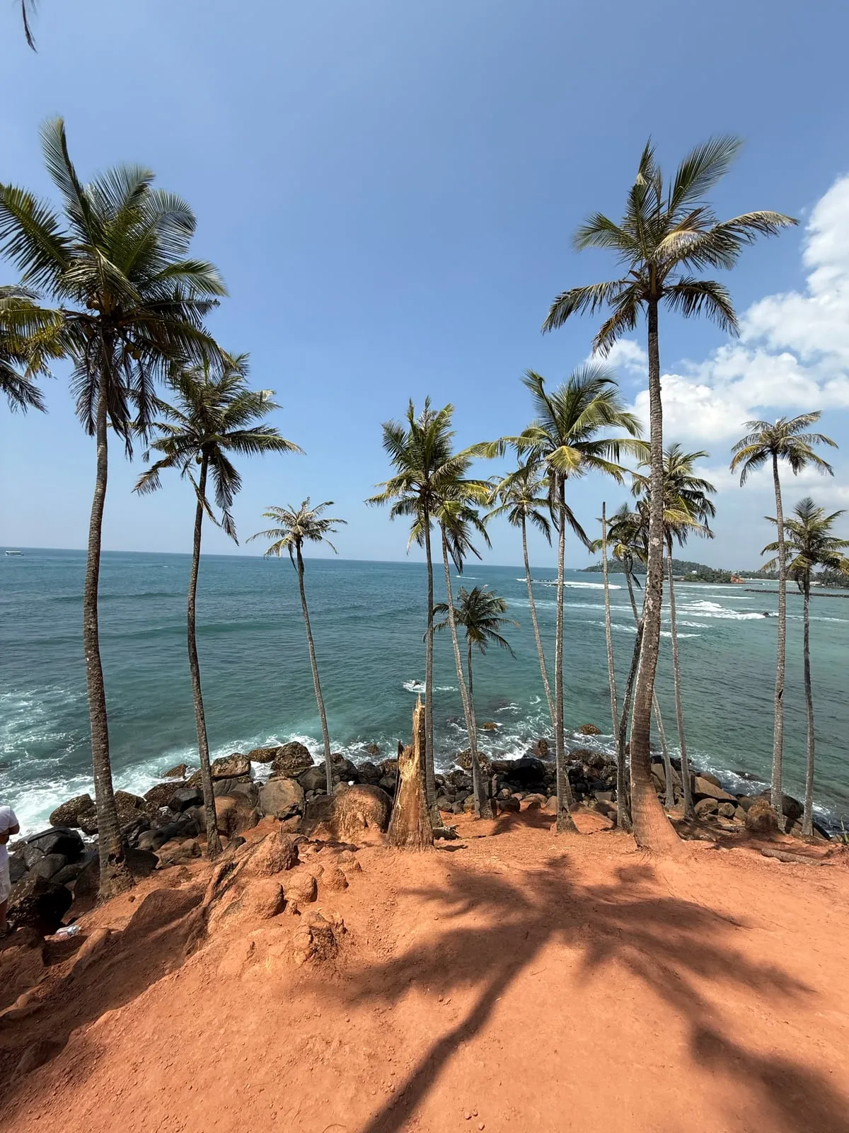 The coconut palms of Coconut Tree Hill above Mirissa bay