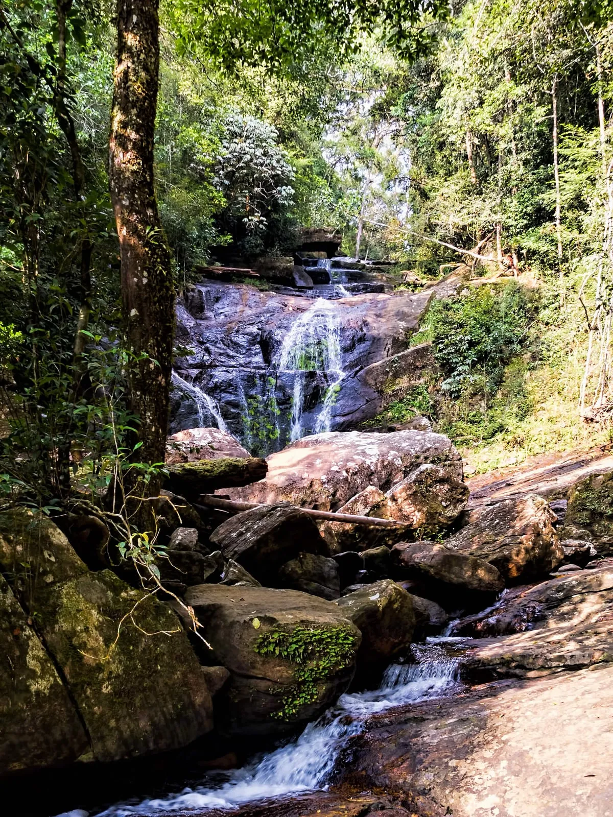 A waterfall in the Sinharaja rainforest