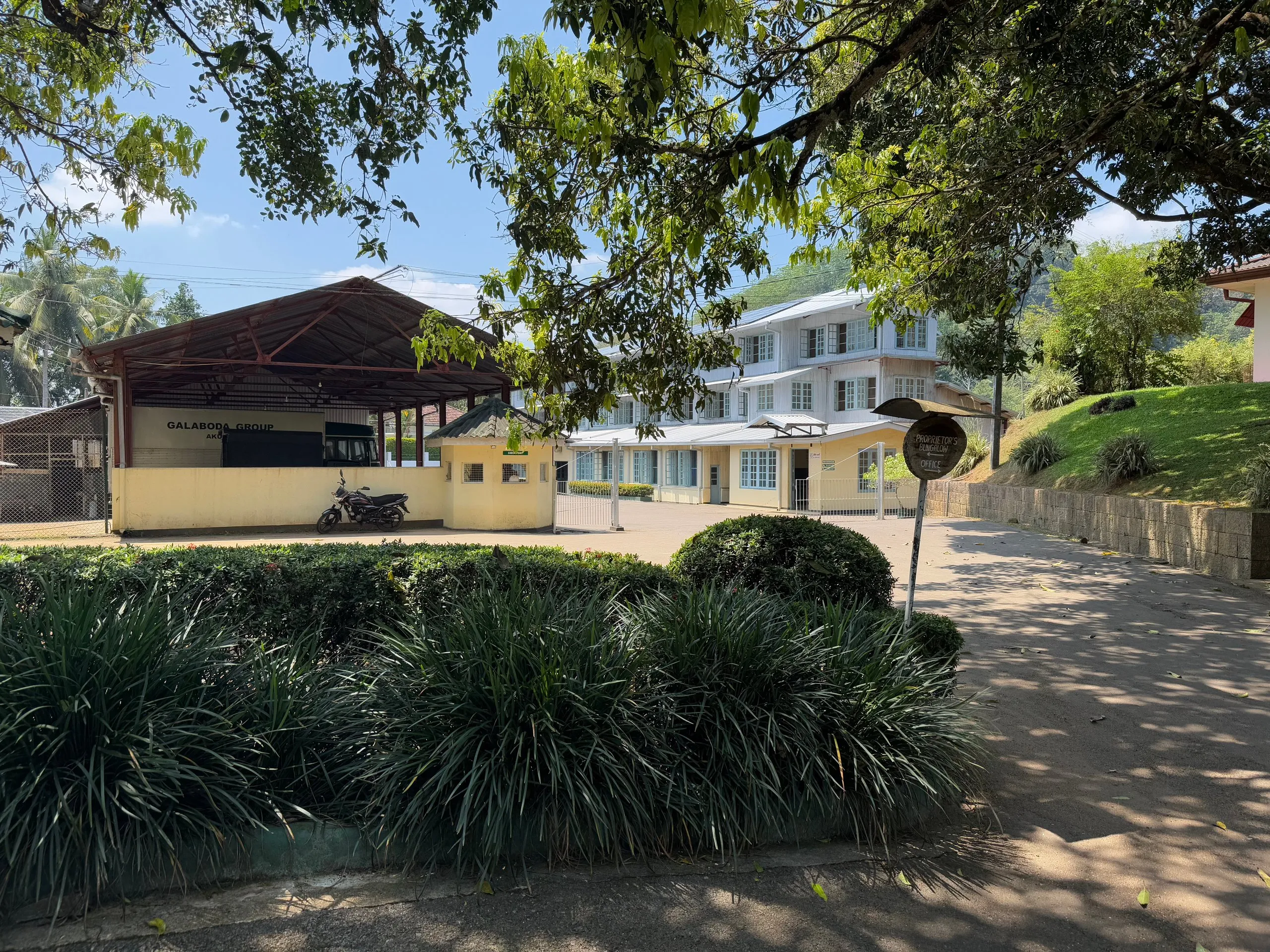 The white tea factory building among the Sri Lankan hills, a covered gatehouse and clipped hedges in front